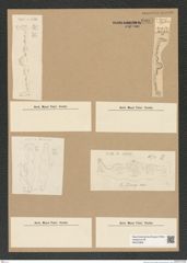 Diatomeae indet. Zeichnungen Sammlung Grunow Nr. 6997 (NHMW-BOT-W0375908)